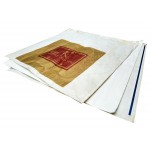Gold Printed Paper Bags (250pcs)